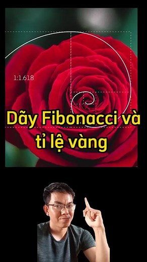 Dãy Fibonacci và Tỷ Lệ Vàng: Khám Phá Mối Quan Hệ