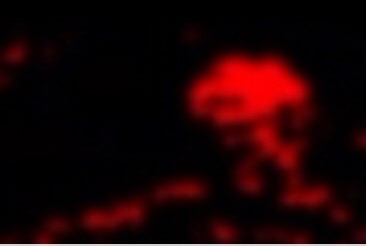 Simon’s realm retake