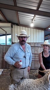 Treating angora goats for lice prevention #angora #angoragoats #goats #lice #liveprevention #ranch #ranching | Bar 7 Ranch