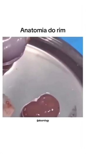 🩺🔬 ESTRUTURA INTERNA DO RIM: Como Funciona o Filtro do Corpo