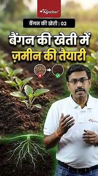 How to prepare soil for brinjal cultivation? | Brinjal Soil Preparation Tips | #shorts #Brinjal