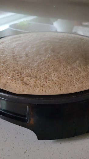 I like em big I em chunky 💃😁👌recipes samracooks.com #eatfresh #eatorganic #teff #tefflove #glutenfree #temesgen #hallelujah | Samrawit Asfaw