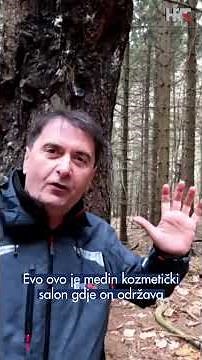 Skrivena kamera uhvatila je u čišćenju i sređivanju krzna - jednog medu 🐻