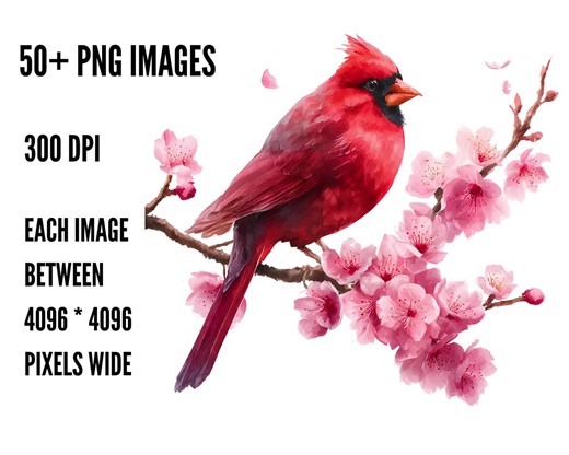 Red Cardinal Clipart PNG Bundle, Watercolor Bird Art for Nursery and Crafts, Commercial Use - Etsy