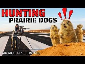 Hunting Prairie Dogs with the NEW FX Leopard! | Pest Control with Air Rifles!