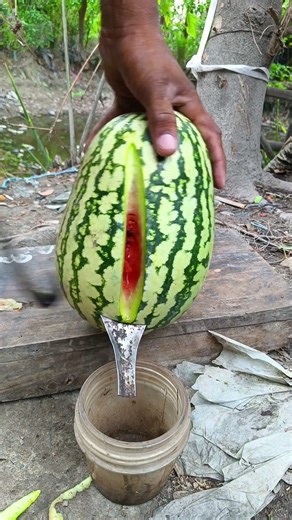 Watermelon juice or sap? let's test! #shorts #trendingshorts #viralshort