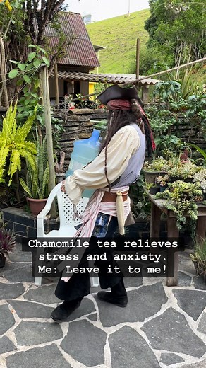 Chamomile tea relieves stress and anxiety. Me: Leave it to me! #chamomile #chamomiletea | Thiago Couto