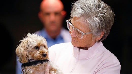 Watch the dramatic rescue of a dog owner and her precious pup from an icy pond
