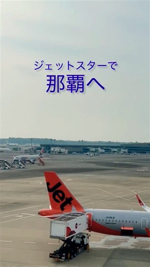 ジェットスターで那覇へ✈️ そして、沖縄で出会ったフクロウ🦉 #japanworldtravel