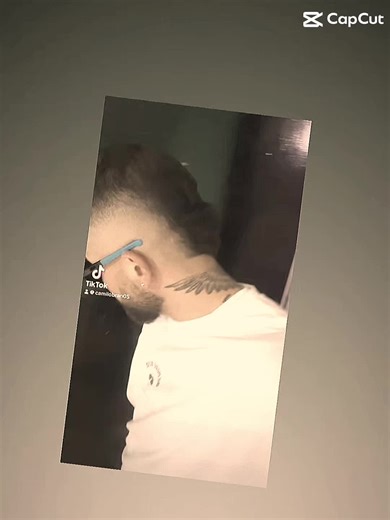 TikTok · Camilo Bran