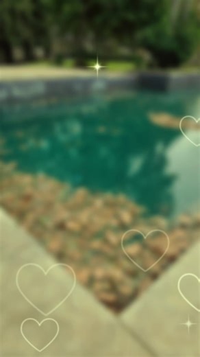 Call Beyond Blue Pool Services 661-380-0190 We'll service, you enjoy 😉 💙 #BeyondBluePoolSevices