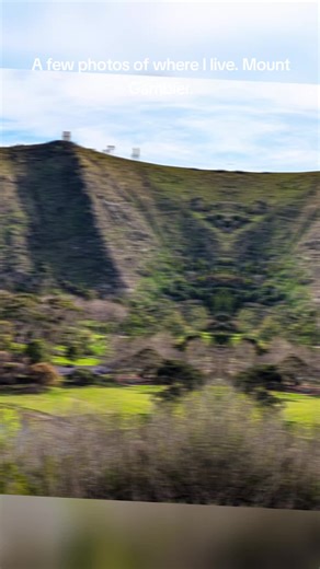 Shutterbug on TikTok