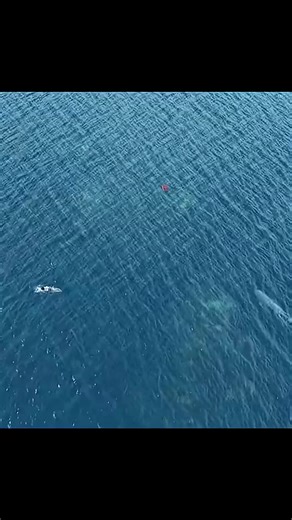 Discover the Movie Behind the Iconic Transition Clip