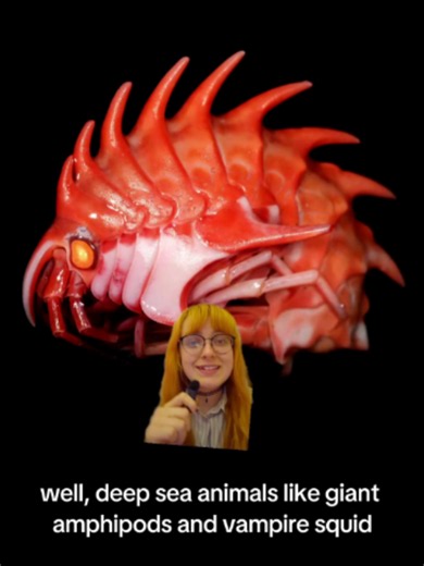 Welcome to part 1 of my new short series - The Ocean of Colour! I'll be exploring the biology behind some of the ocean's most colourful animals #marinebiology #science #creepyfacts