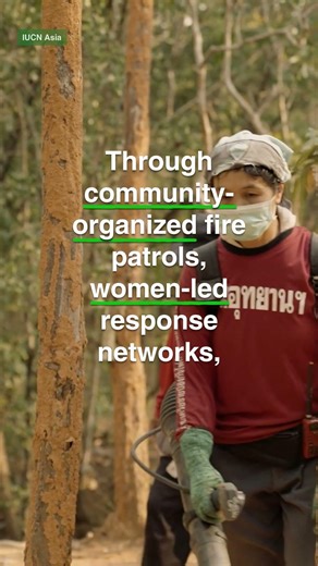 Model Forests and Wildfire & Disaster Risk Reduction