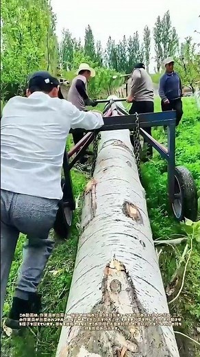 体重で吊り上げる丸太：三つの手と一つの台車が創る移動術