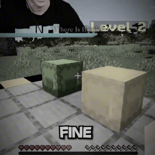 Where is Bionic? #bionic #minecraft #bioniclmao ‪@Bionic‬