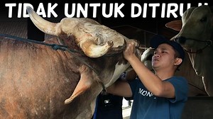 556K views · 10K reactions | SETIA FARM on Reels | Facebook