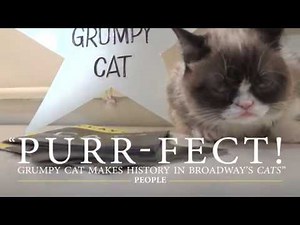 Grumpy Cat Joins CATS on Broadway!
