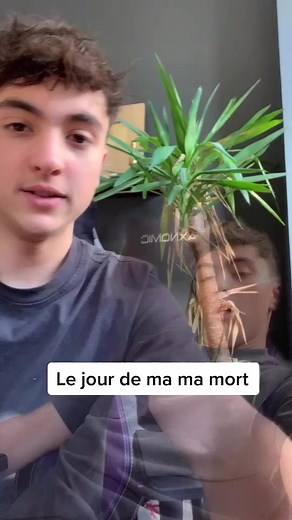 Vidéos de Inoxleshinobi (@inoxtag) avec original sound - Dom Raona