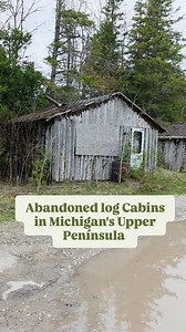3K views · 22 reactions | ️✨ Discovered these abandoned log cabins in Michigan’s Upper Peninsula. Though nature has reclaimed them, the wood remains strong, solid, and ready for new life. Could these old logs find a new purpose as a rustic bar or a unique home accent? What would you create?  #architecturalsalvage #hiddentreasure #Michigan | Sarasota Salvage Downtown | Facebook