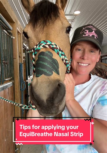 Tips for Applying EquiBreathe Nasal Strips Effectively