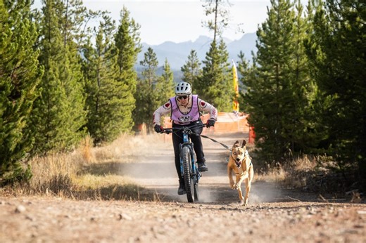 Grand County dog sled racer mushes to world championships