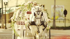 24K views · 72 reactions | It's the month of love, and Safety Harbor Resort & Spa is the perfect place for you to say "I do"  https://bit.ly/2kcdJEr | Safety Harbor Resort and Spa | Facebook