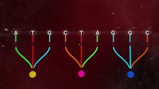Video: DNA and proteins - Revision guides: Cell biology: Video playlist - BBC Bitesize