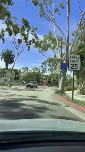 Scenic Drive Through Laguna Beach | Exploring Forest Ave & Coastal Streets (4K POV)