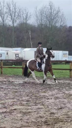 Mastering Clicker Training for Equestrians