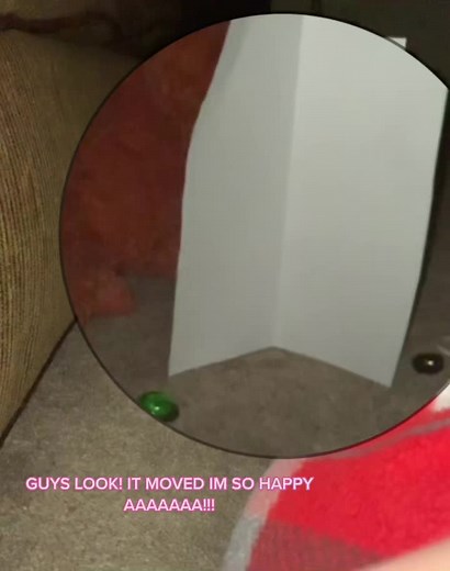 telekinesis and bluey👍 (@bluey_andbingo2)’s videos with