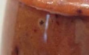 panna cotta aux prunes rouges