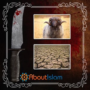 77K views · 1.6K shares | He was ordered to sacrifice his son, his son agreed!! Here are 3 remarkable stories of Prophet Ibrahim. | About Islam | Facebook