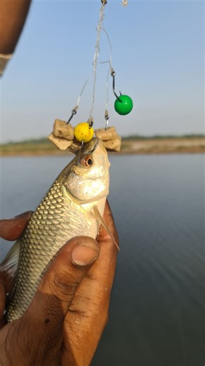 28K views · 448 reactions | The Ultimate River Fishing Challenge –...