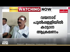 വയനാട് പുൽപള്ളിയിൽ കാട്ടാന ആക്രമണത്തിൽ 2 പേർക്ക് പരിക്ക്; ആക്രമണം ബൈക്കിൽ സഞ്ചരിക്കുമ്പോൾ