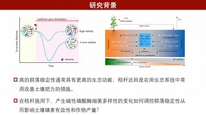 iMeta | 蒋瑀霁/陈利军等-解析了细菌网络稳定性对玉米产量的影响
