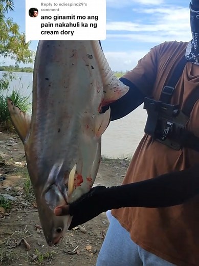 Cream Dory Fishing Tutorial: Catching Tips and Tricks