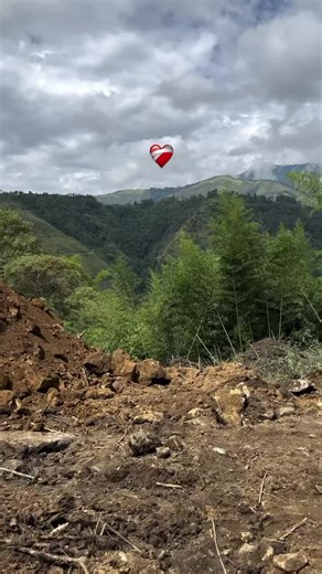 Heavy Machinery Operator Insights and Techniques