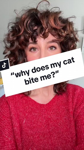 Understanding Cat Behavior: Why Do Cats Bite?