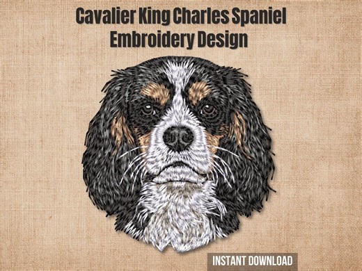 Tricolor cavalier king charles spaniel embroidery design | realistic pet portrait pattern | detailed thread art | instant digital download - Etsy