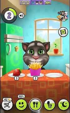 My Talking Tom Level 2