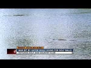 Man attacked by gator at Fla. golf course
