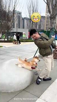 The Most Hilarious Fails You Will See!