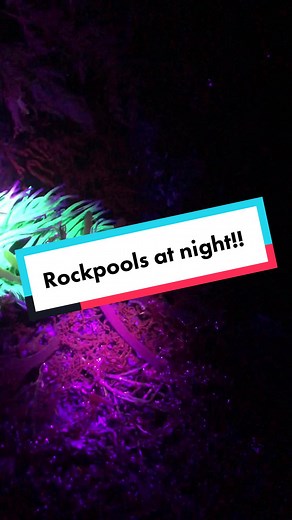 The FishLocker on TikTok