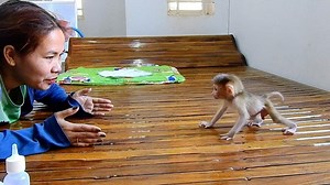 Michael Michael Well Walking By Mom Motivative Training . | Monkey Jessi