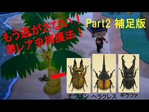 【捕まえ方は6:11〜！】激レア虫3種（ヘラクレスオオカブト・オウゴンオニクワガタ・ギラファノコギリクワガタ）を絶対逃がさない捕まえ方！（コメント欄是読）【あつまれどうぶつの森】