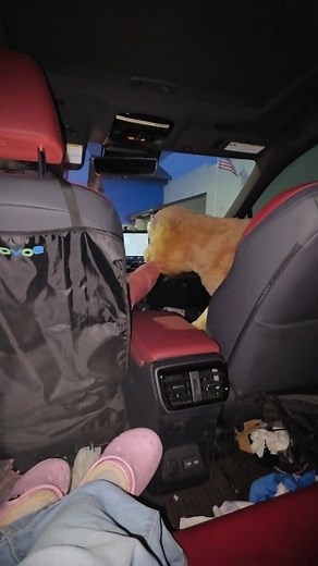 Christmas spirit is in the air! 🎄 FM station playing Xmas songs now. Eliana complained that time is too fast 😁 #Christmas #christmasspirit #christmassongs #everyonefollowers | Goena Liz Lorenz