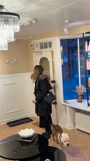 Gad vide om hun egentlig syntes, det var sjovt… eller om jeg bare er røv-irriterende 😜🫣 Nu får du i hvert fald hendes reaktion 😂 Skal jeg lave flere nisseløjer i salonen? Skriv “JA” i kommentaren – og smid også gerne dine idéer eller noget du selv har prøvet ❤️🙌🏽 | Kirstine ogelund