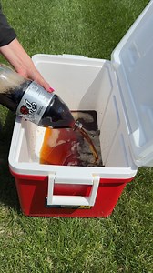 party trick will make your life easier | She'll Try Anything